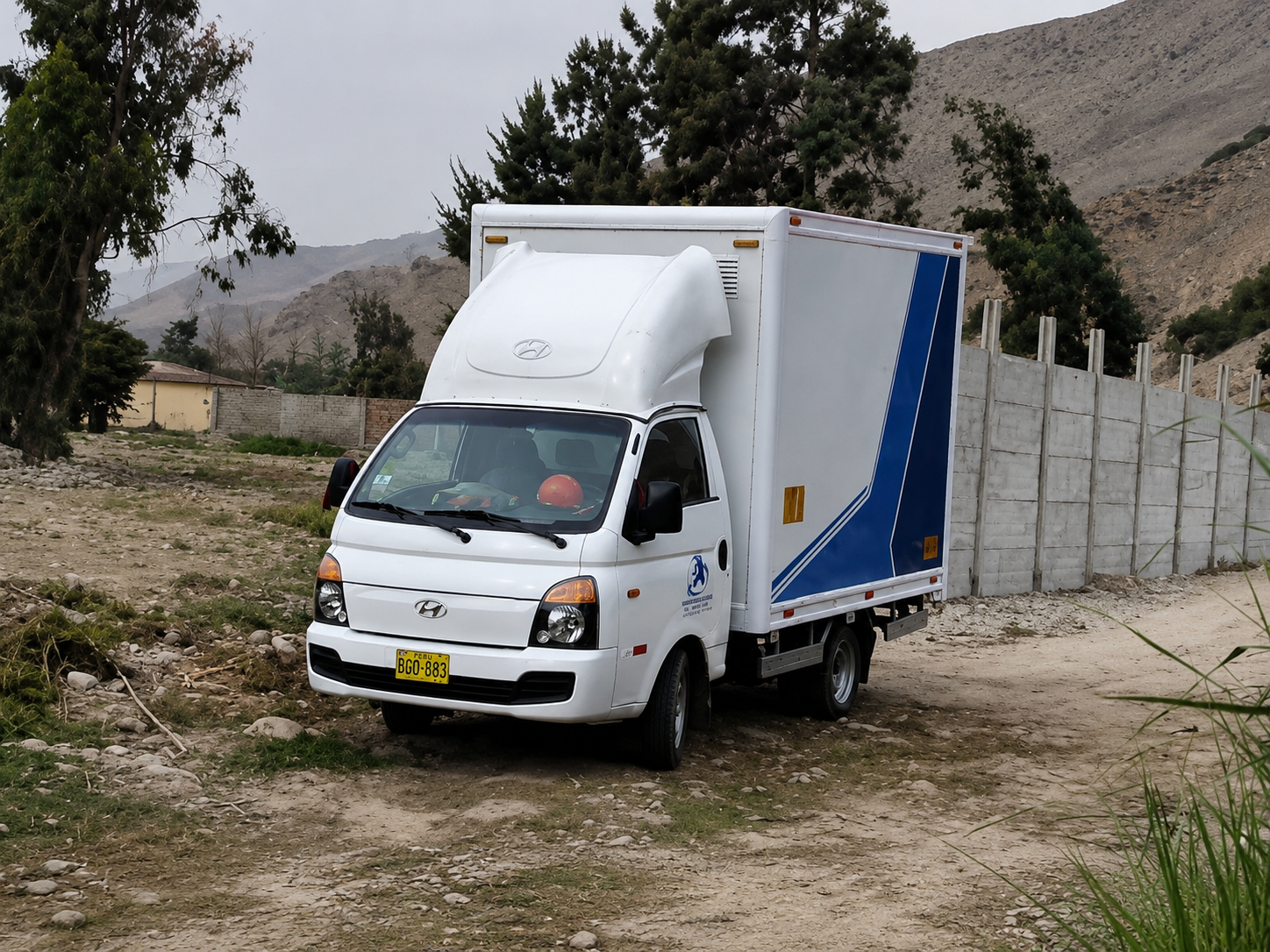 Servicio de Mudanzas
